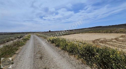 Arsa-Tarla