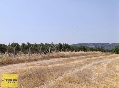 Arsa-Tarla