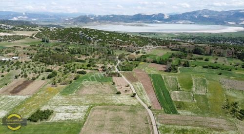 Arsa-Tarla