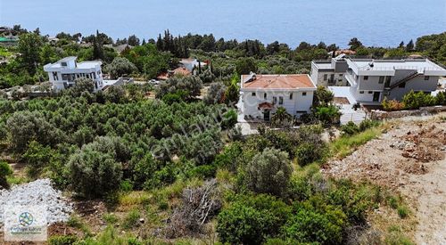 Arsa-Villa İmarlı