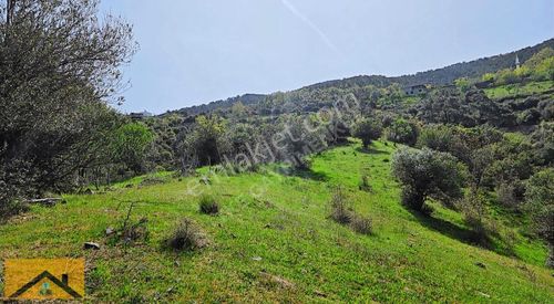 Arsa-Tarla