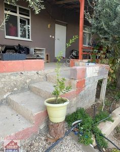 Arsa-Bağ & Bahçe