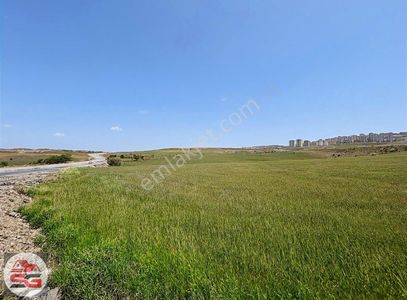 Arsa-Ticari İmarlı