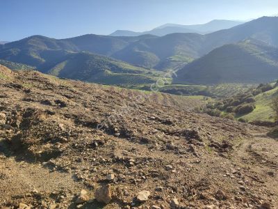 Arsa-Tarla