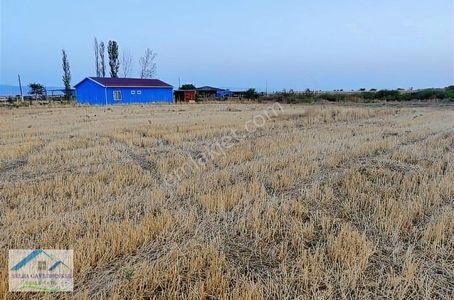Arsa-Tarla