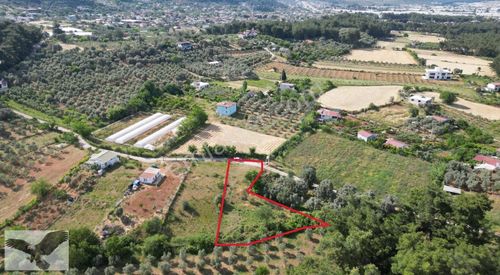 Arsa-Bağ & Bahçe