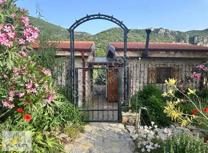 Konut-Çiftlik Evi