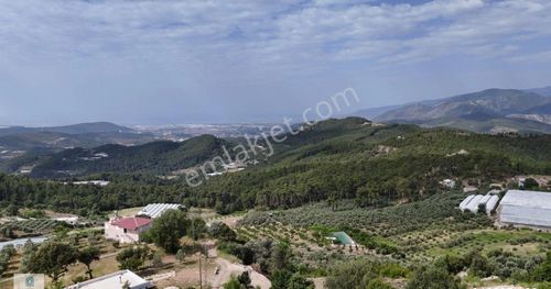 Arsa-Bağ & Bahçe