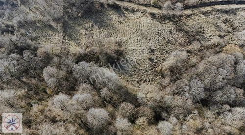 Arsa-Villa İmarlı
