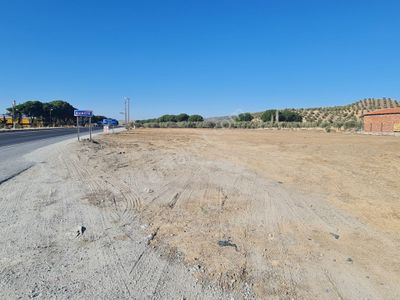 Arsa-Tarla