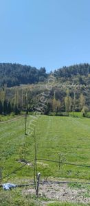 Arsa-Tarla