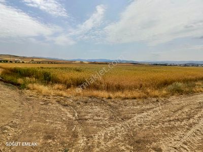 Arsa-Tarla