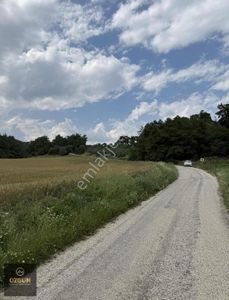 Arsa-Tarla