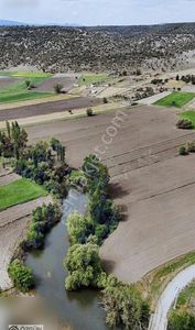 Arsa-Tarla