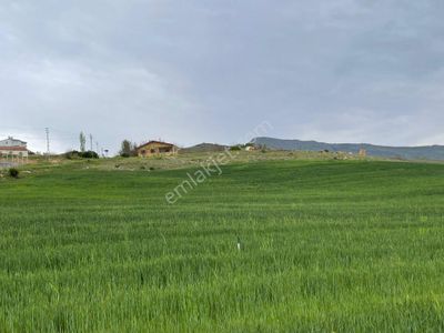 Arsa-Tarla