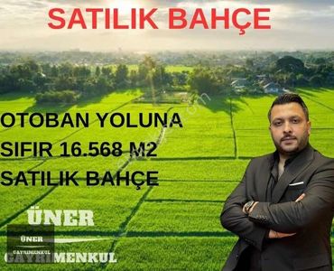 Arsa-Bağ & Bahçe