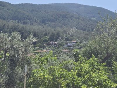 Konut-Dağ Evi