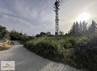 Arsa-Konut İmarlı