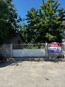 Arsa-Bağ & Bahçe