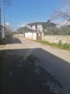 Konut-Müstakil Ev