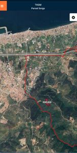 Arsa-Zeytinlik