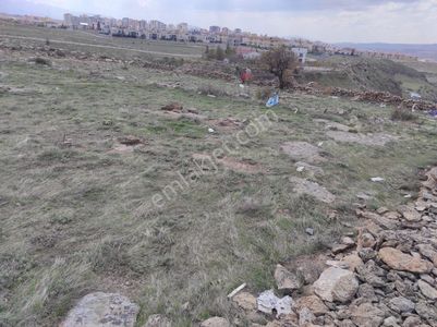 Arsa-Konut İmarlı