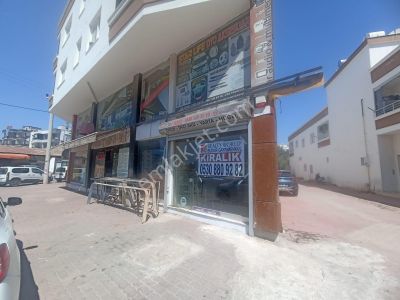 İşyeri-Dükkan & Mağaza
