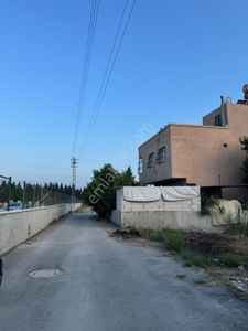 Arsa-Bağ & Bahçe