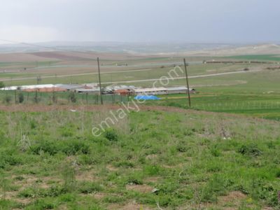 Arsa-Bağ & Bahçe