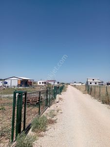 Arsa-Bağ & Bahçe