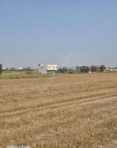 Arsa-Konut İmarlı