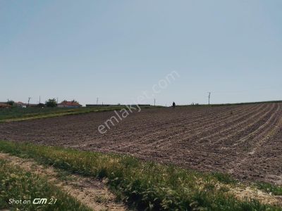 Arsa-Konut İmarlı