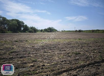 Arsa-Tarla