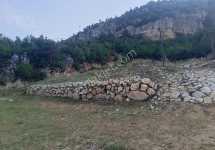 Arsa-Konut İmarlı
