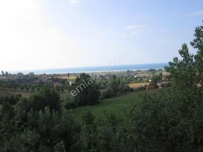 Arsa-Tarla