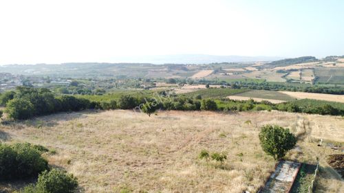 Arsa-Tarla