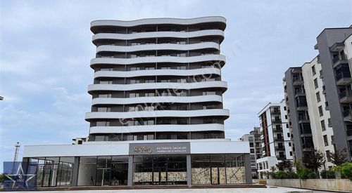 İşyeri-Plaza Katı