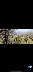 Arsa-Tarla