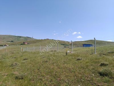 Arsa-Tarla