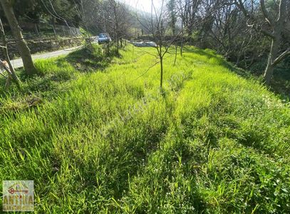 Arsa-Bağ & Bahçe
