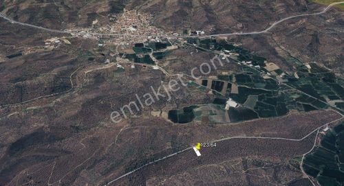 Arsa-Zeytinlik