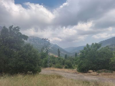 Arsa-Tarla