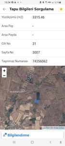 Arsa-Zeytinlik