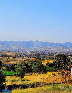 Arsa-Ticari İmarlı