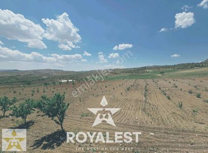 Arsa-Tarla