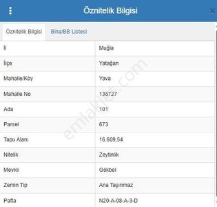 Arsa-Zeytinlik