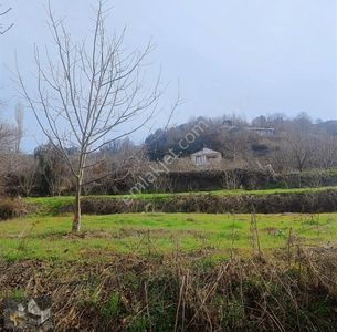 Arsa-Konut İmarlı