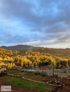 Arsa-Tarla
