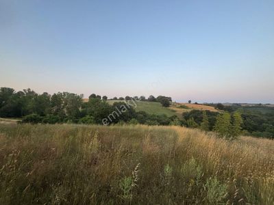 Arsa-Tarla