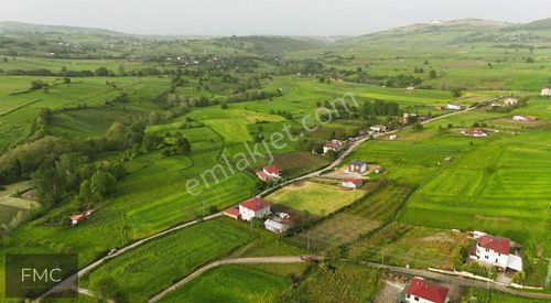 Arsa-Tarla
